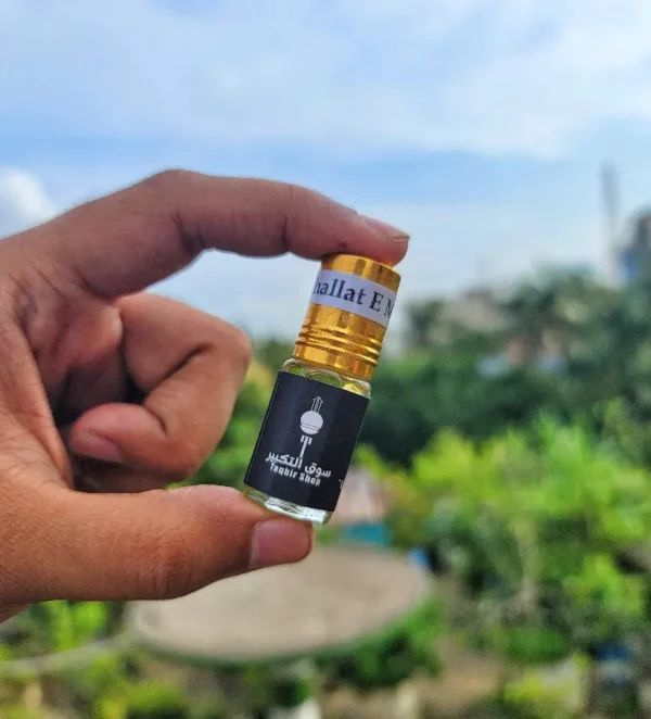 মুখাল্লাতে মিগদাদ আতর